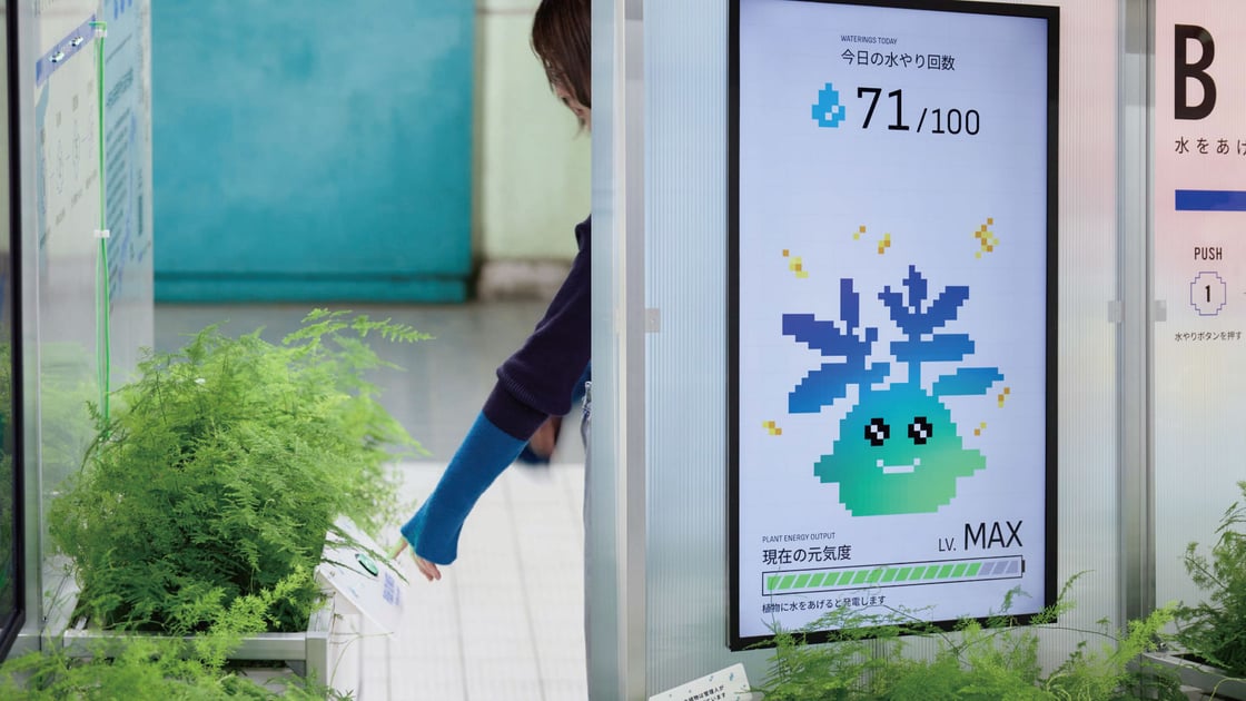 hashimoto_12